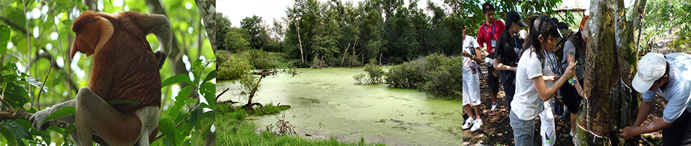 沙巴原住民文化及自然生態體驗