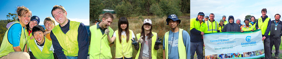 紐西蘭環保義工